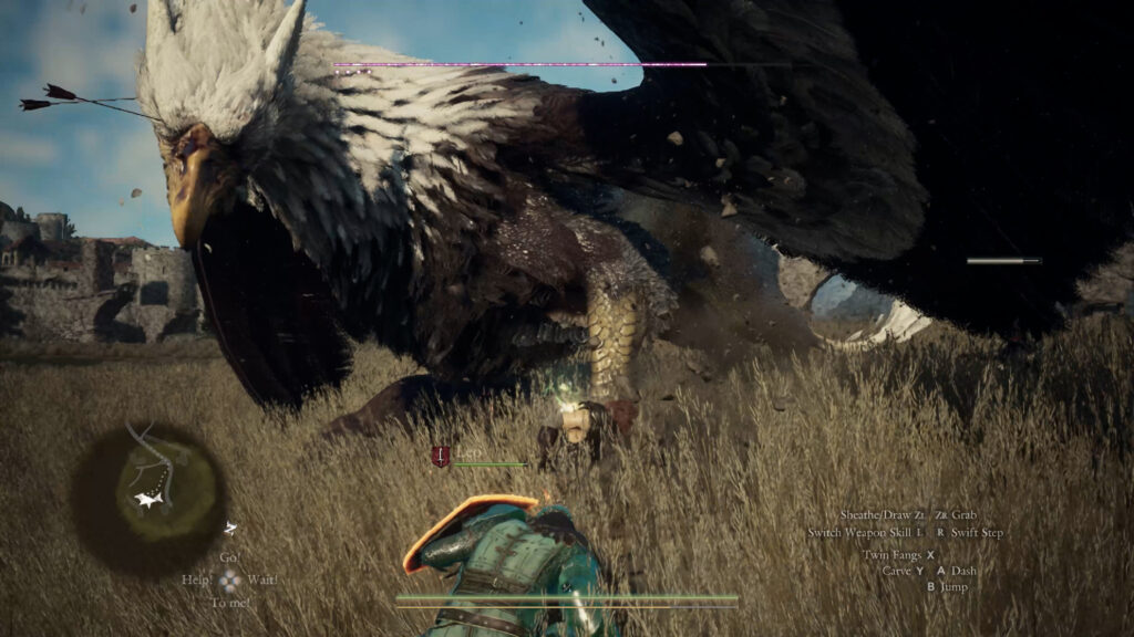 Dragons Dogma 2 Switch 2 Griffin 2