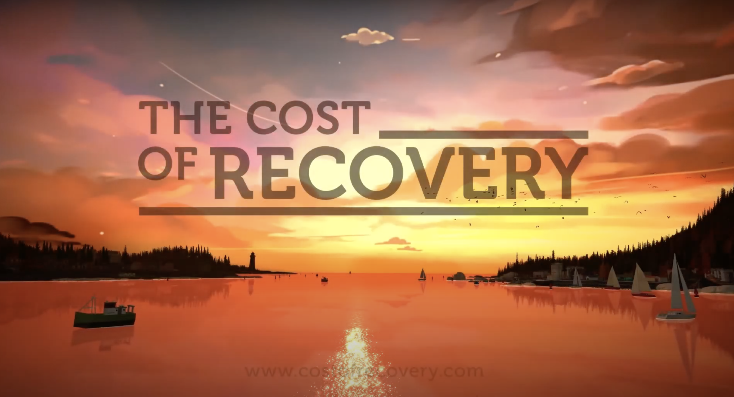 cost of recovery