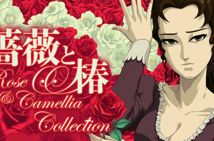 rose-and-camellia-collection