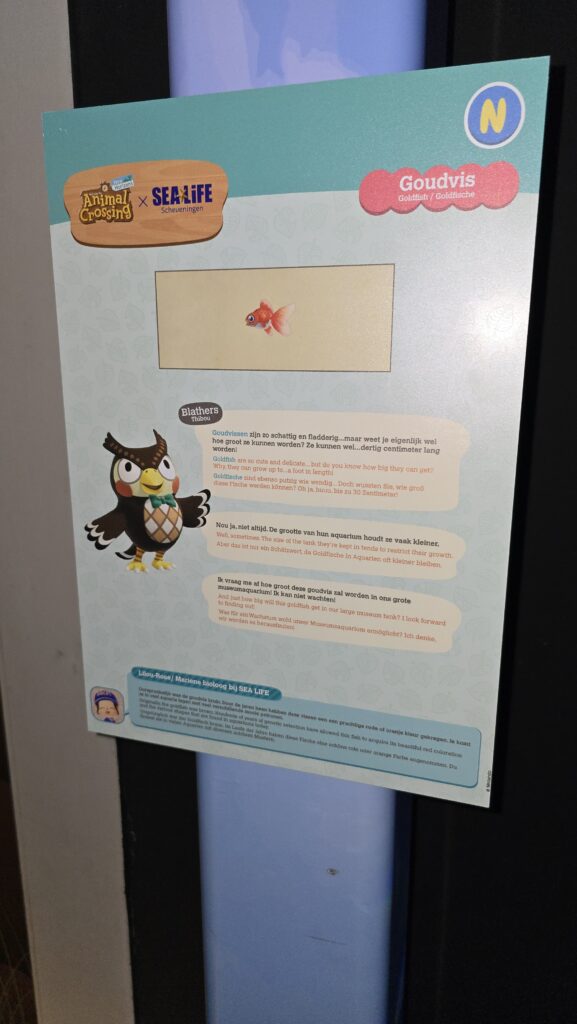 Sea Life Animal Crossing Blathers informatiebord met informatie over een goudvis