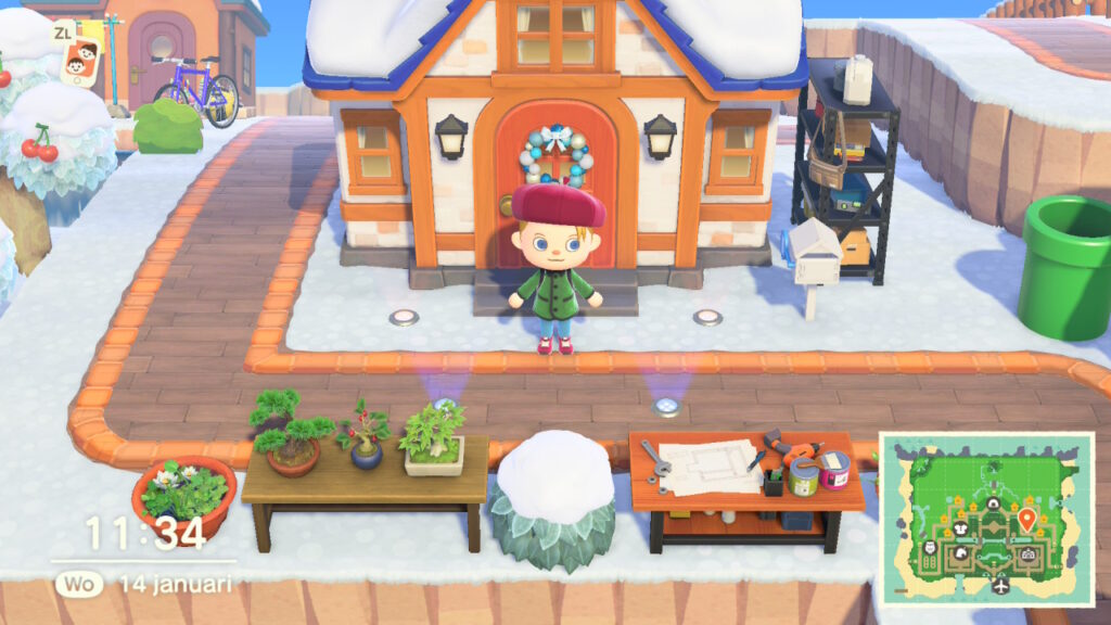 Animal Crossing: New Horizons