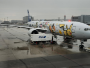 ANA Eevee Pikachu Jet