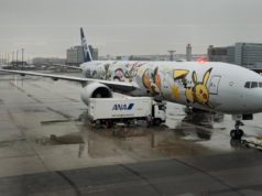 ANA Eevee Pikachu Jet