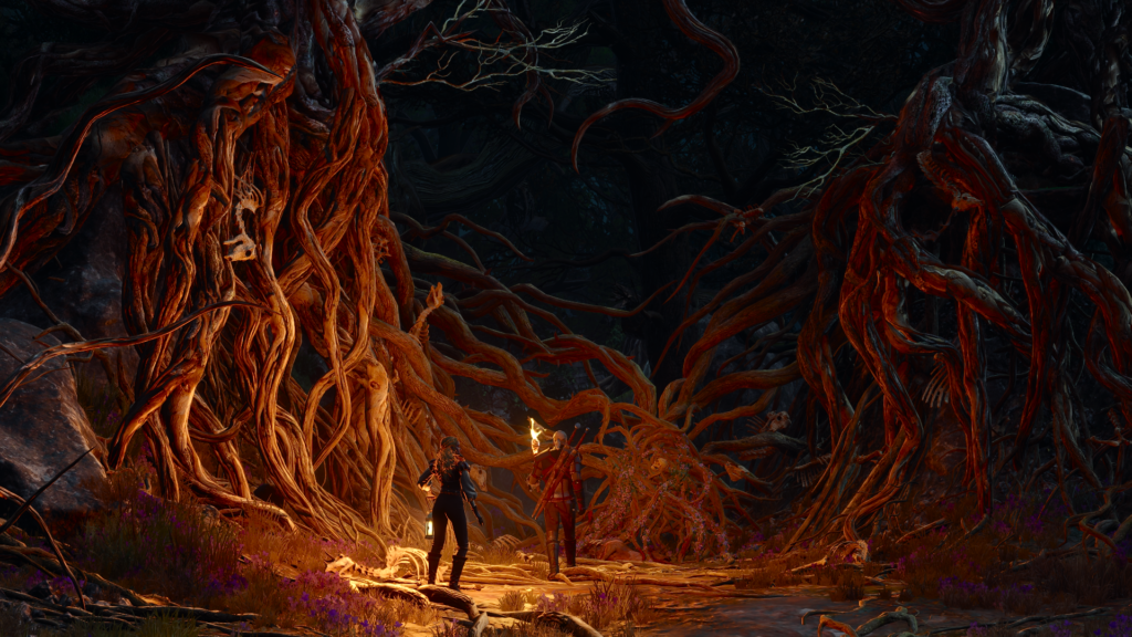 Witcher 3 Garden of Thorns Switch 2 cutscene