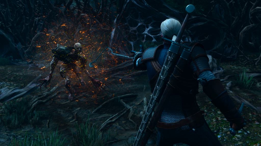 Witcher 3 Garden of Thorns Switch 2 chain fight 2