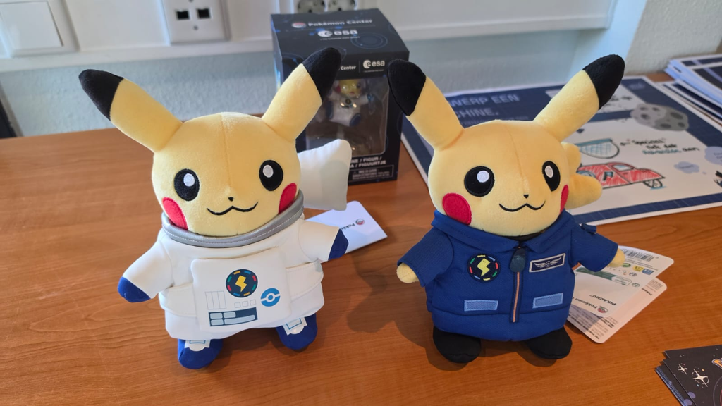 Pokemon esa merch pluche