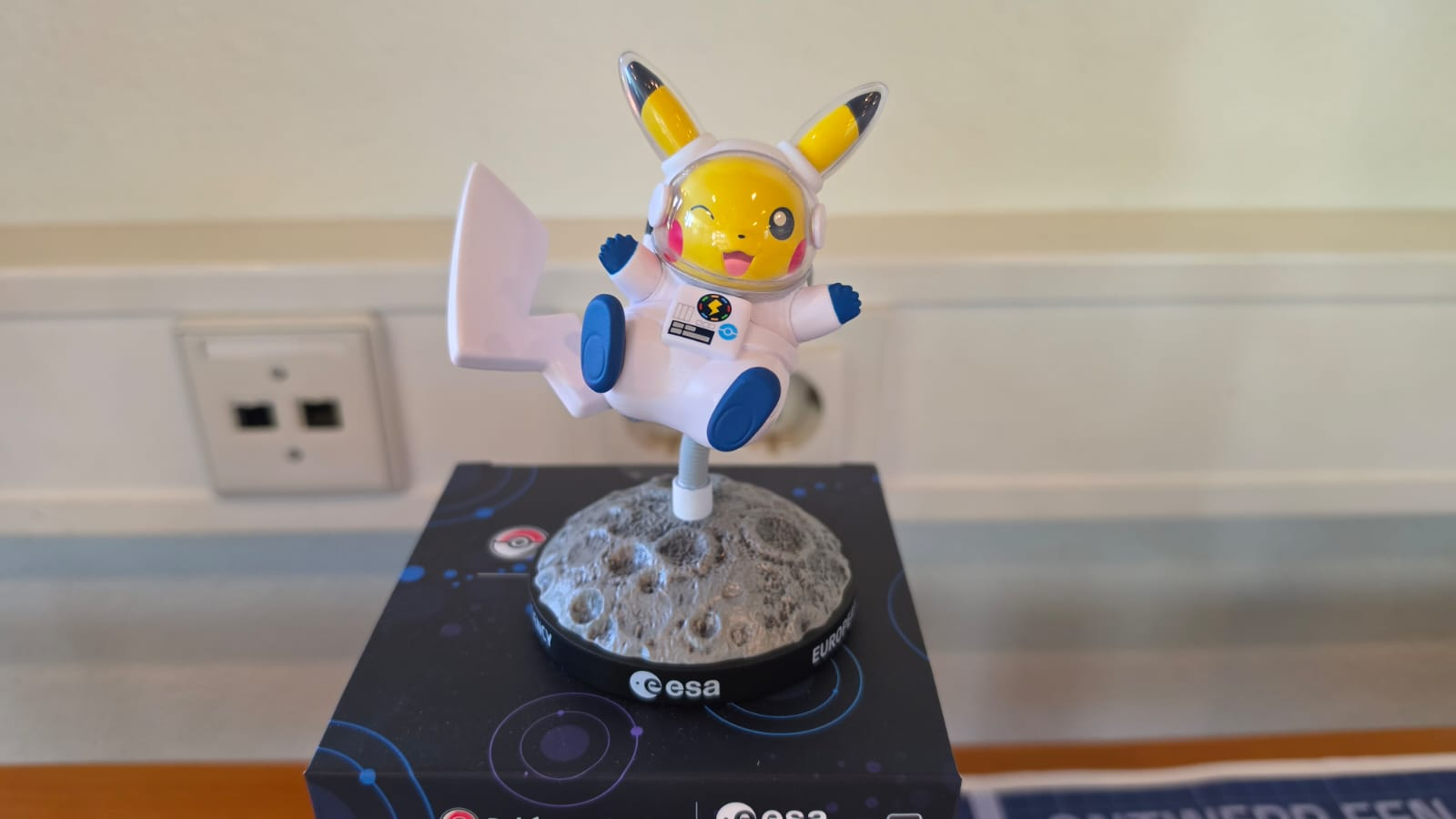 Pokemon esa merch figurine